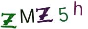 Obrázkové CAPTCHA